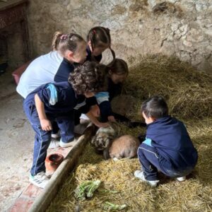 Els secrets de la granja
