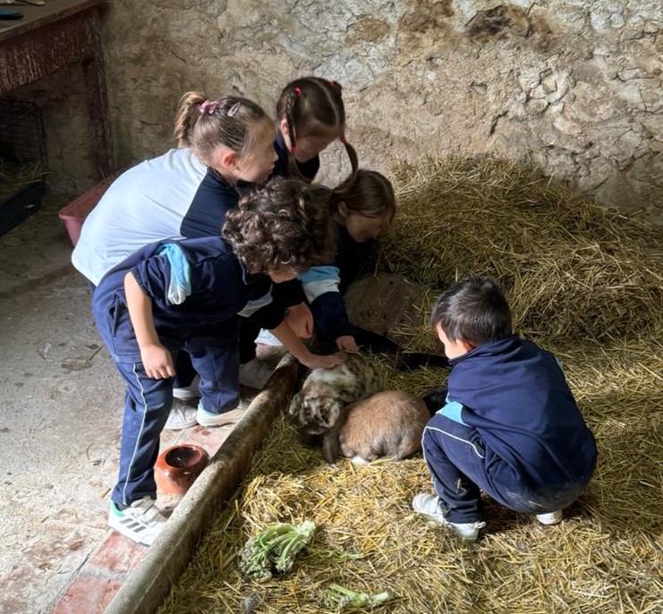 Els secrets de la granja